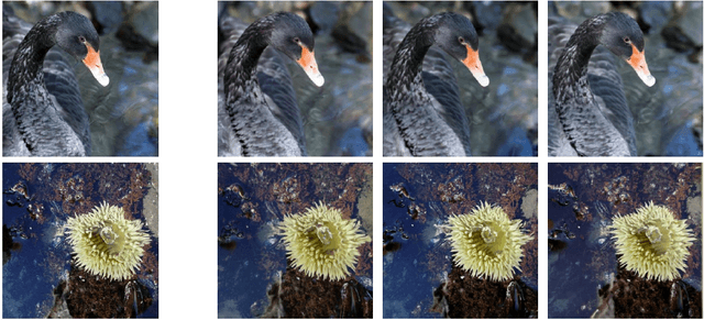 Figure 3 for Semantica: An Adaptable Image-Conditioned Diffusion Model