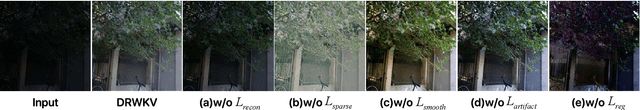 Figure 4 for DRWKV: Focusing on Object Edges for Low-Light Image Enhancement