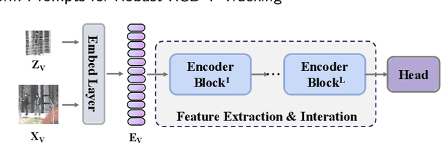 Figure 3 for Middle Fusion and Multi-Stage, Multi-Form Prompts for Robust RGB-T Tracking