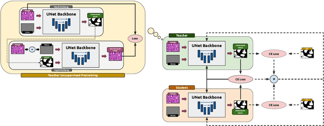 Figure 1 for Semi-Supervised Biomedical Image Segmentation via Diffusion Models and Teacher-Student Co-Training