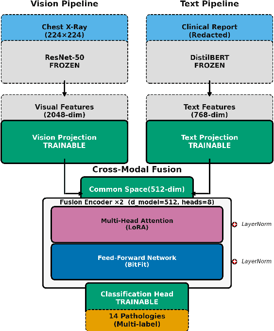 Figure 2 for Fixed-Budget Parameter-Efficient Training with Frozen Encoders Improves Multimodal Chest X-Ray Classification