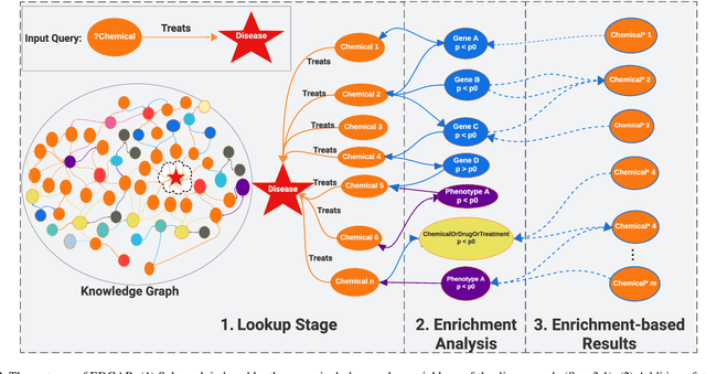 Figure 3 for Explainable Enrichment-Driven GrAph Reasoner (EDGAR) for Large Knowledge Graphs with Applications in Drug Repurposing