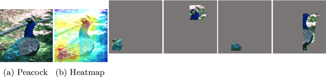 Figure 1 for Multiple Different Explanations for Image Classifiers