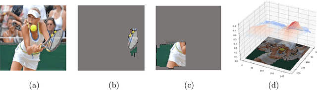 Figure 3 for Multiple Different Explanations for Image Classifiers