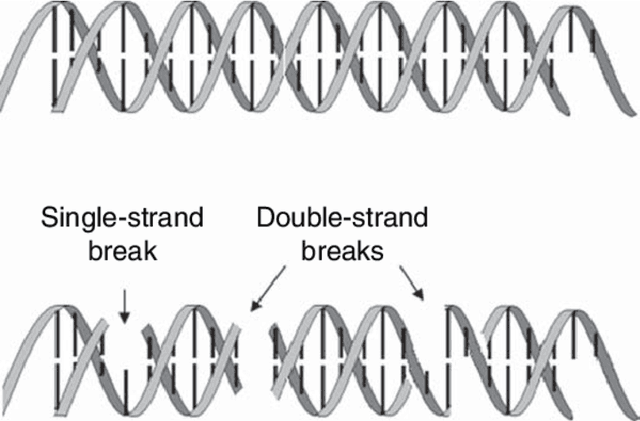 Figure 3 for Artificial Intelligence Augmented Medical Imaging Reconstruction in Radiation Therapy
