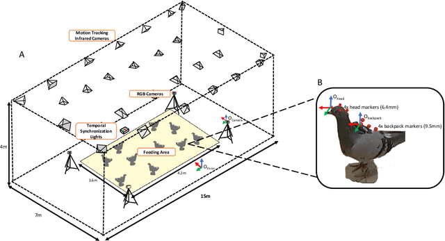 Figure 3 for 3D-POP -- An automated annotation approach to facilitate markerless 2D-3D tracking of freely moving birds with marker-based motion capture
