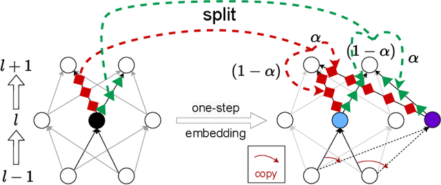 Figure 1 for Local Linear Recovery Guarantee of Deep Neural Networks at Overparameterization