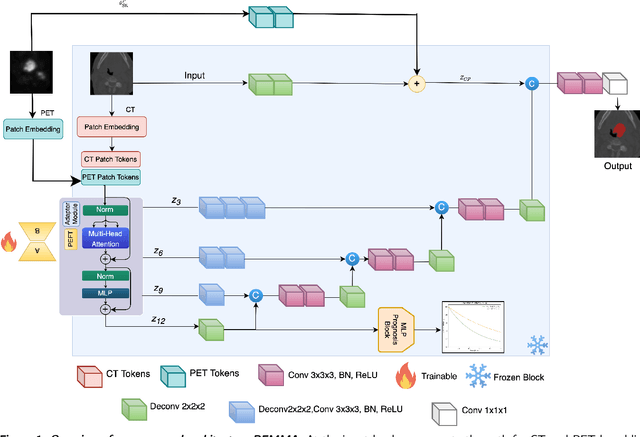 Figure 1 for Efficient Parameter Adaptation for Multi-Modal Medical Image Segmentation and Prognosis