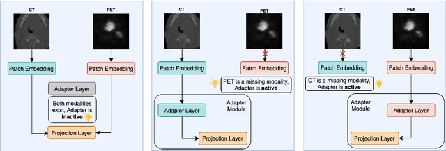 Figure 3 for Efficient Parameter Adaptation for Multi-Modal Medical Image Segmentation and Prognosis