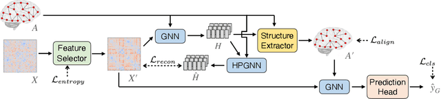 Figure 3 for BrainOOD: Out-of-distribution Generalizable Brain Network Analysis