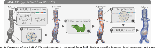 Figure 3 for Geometric deep learning for local growth prediction on abdominal aortic aneurysm surfaces