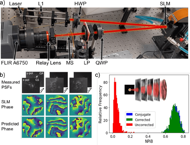 Figure 4 for Single-Shot Phase Diversity Wavefront Sensing in Deep Turbulence via Metasurface Optics
