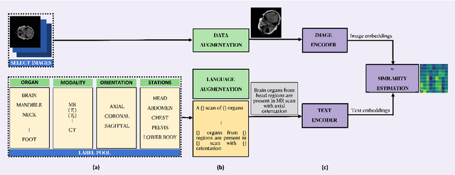 Figure 1 for Language Augmentation in CLIP for Improved Anatomy Detection on Multi-modal Medical Images
