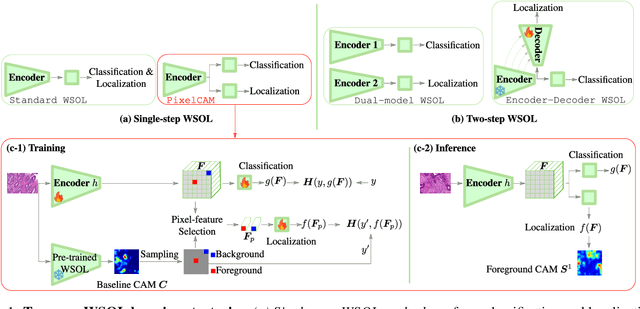 Figure 1 for PixelCAM: Pixel Class Activation Mapping for Histology Image Classification and ROI Localization
