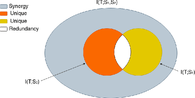 Figure 4 for Rethinking Self-Supervised Learning Within the Framework of Partial Information Decomposition