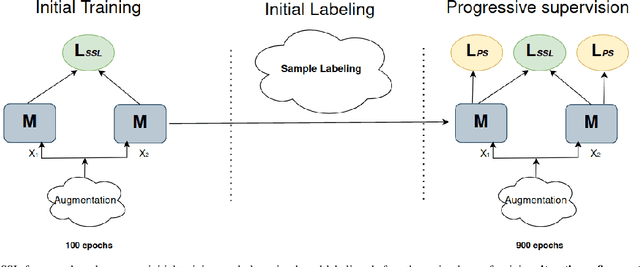Figure 1 for Rethinking Self-Supervised Learning Within the Framework of Partial Information Decomposition