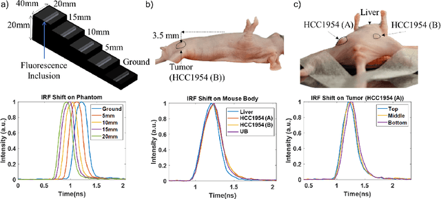 Figure 2 for Enhancing Fluorescence Lifetime Parameter Estimation Accuracy with Differential Transformer Based Deep Learning Model Incorporating Pixelwise Instrument Response Function