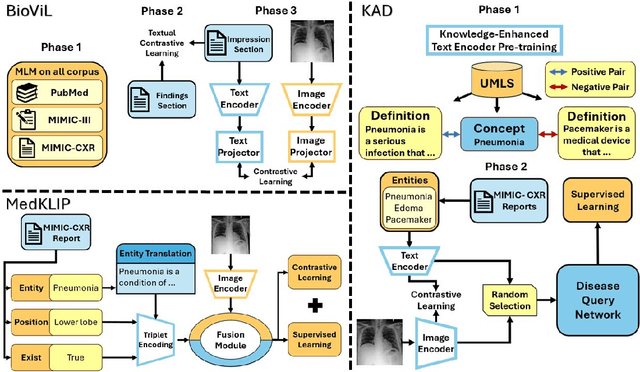 Figure 2 for How Does Diverse Interpretability of Textual Prompts Impact Medical Vision-Language Zero-Shot Tasks?
