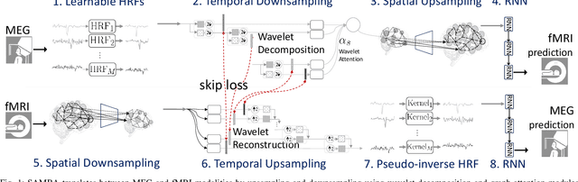 Figure 1 for Latent Representation Learning for Multimodal Brain Activity Translation