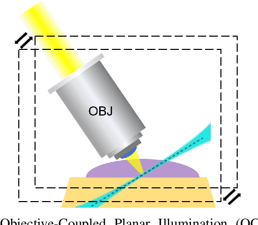 Figure 1 for Automatic Neuronal Activity Segmentation in Fast Four Dimensional Spatio-Temporal Fluorescence Imaging using Bayesian Approach