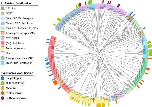Figure 2 for Unsupervised hierarchical clustering using the learning dynamics of RBMs