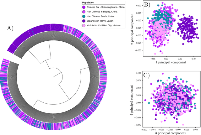 Figure 4 for Unsupervised hierarchical clustering using the learning dynamics of RBMs
