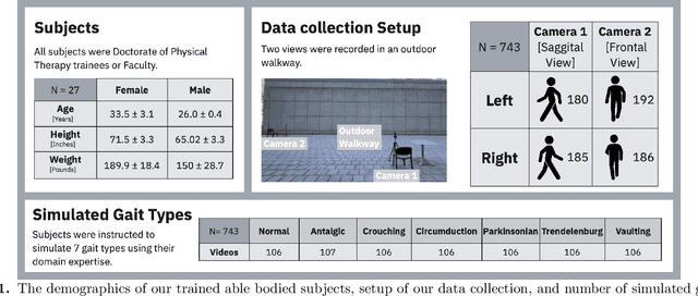 Figure 1 for Classifying Simulated Gait Impairments using Privacy-preserving Explainable Artificial Intelligence and Mobile Phone Videos