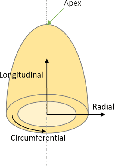 Figure 2 for Synthetic Data Generation for 3D Myocardium Deformation Analysis
