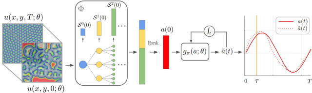 Figure 1 for TRENDy: Temporal Regression of Effective Non-linear Dynamics