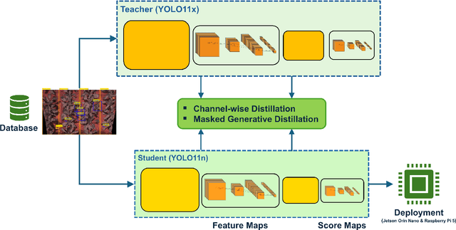 Figure 3 for Improving Lightweight Weed Detection via Knowledge Distillation