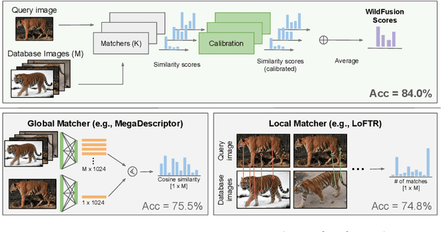 Figure 1 for WildFusion: Individual Animal Identification with Calibrated Similarity Fusion