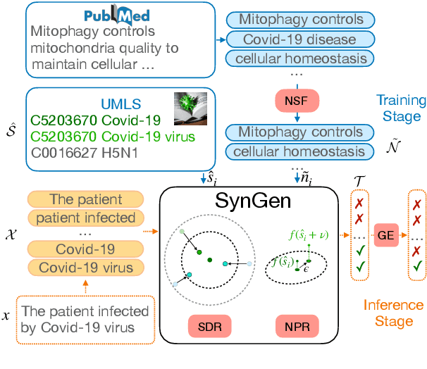 Figure 1 for Biomedical Named Entity Recognition via Dictionary-based Synonym Generalization