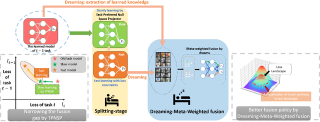 Figure 1 for Continual Learning through Networks Splitting and Merging with Dreaming-Meta-Weighted Model Fusion