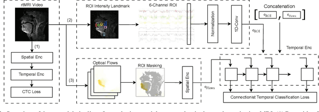 Figure 1 for Interpretable Modeling of Articulatory Temporal Dynamics from real-time MRI for Phoneme Recognition