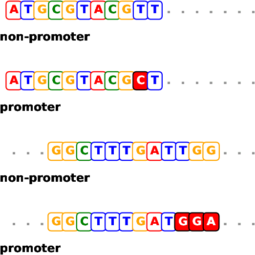 Figure 1 for Adversarial Examples for DNA Classification