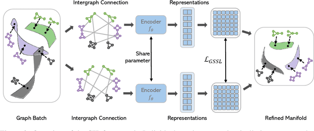 Figure 3 for Enhancing Graph Self-Supervised Learning with Graph Interplay