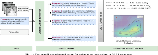 Figure 1 for Improving Medical Diagnostics with Vision-Language Models: Convex Hull-Based Uncertainty Analysis