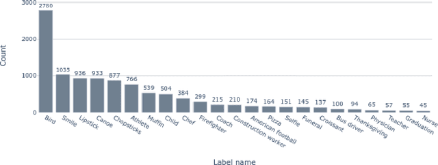 Figure 2 for "Is a picture of a bird a bird": Policy recommendations for dealing with ambiguity in machine vision models