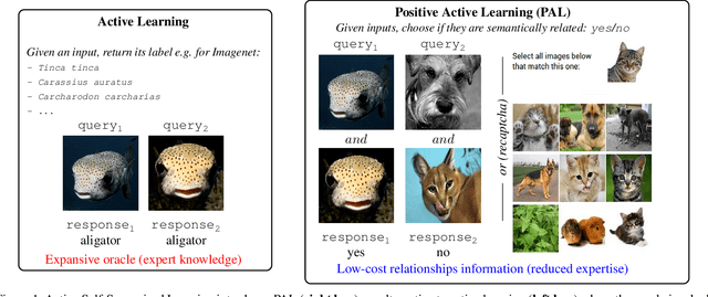 Figure 1 for Active Self-Supervised Learning: A Few Low-Cost Relationships Are All You Need