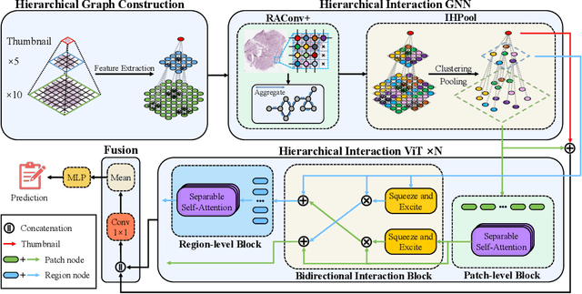 Figure 1 for HIGT: Hierarchical Interaction Graph-Transformer for Whole Slide Image Analysis