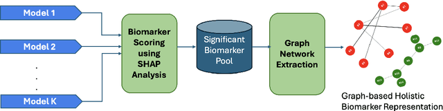 Figure 1 for Graph-Based Biomarker Discovery and Interpretation for Alzheimer's Disease