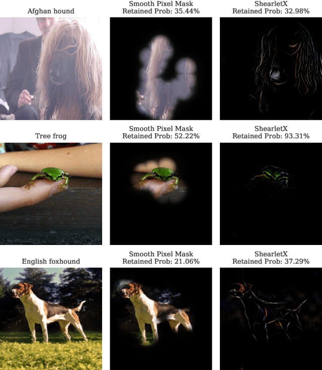 Figure 1 for Explaining Image Classifiers with Multiscale Directional Image Representation