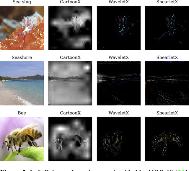 Figure 3 for Explaining Image Classifiers with Multiscale Directional Image Representation