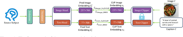 Figure 1 for Probability Distribution Alignment and Low-Rank Weight Decomposition for Source-Free Domain Adaptive Brain Decoding