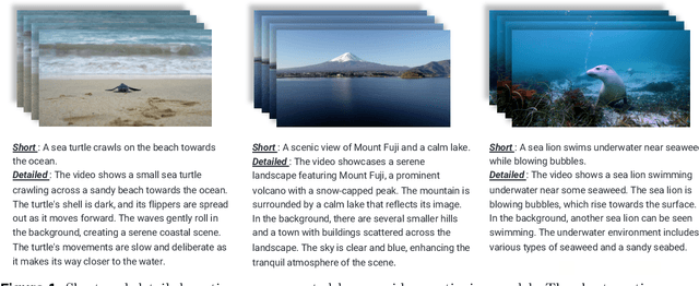 Figure 1 for Seaweed-7B: Cost-Effective Training of Video Generation Foundation Model