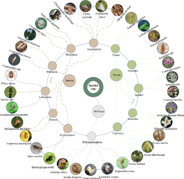 Figure 1 for Species196: A One-Million Semi-supervised Dataset for Fine-grained Species Recognition