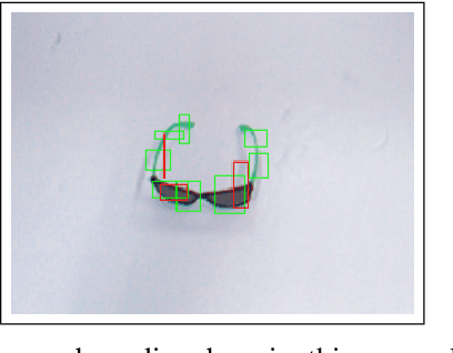 Figure 1 for FViT-Grasp: Grasping Objects With Using Fast Vision Transformers