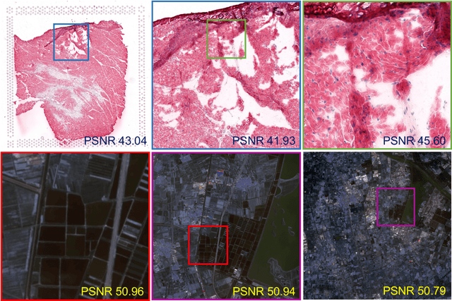 Figure 2 for Large Images are Gaussians: High-Quality Large Image Representation with Levels of 2D Gaussian Splatting