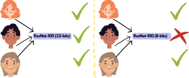 Figure 1 for Compressed Models Decompress Race Biases: What Quantized Models Forget for Fair Face Recognition