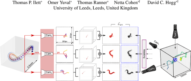 Figure 1 for 3D shape reconstruction of semi-transparent worms